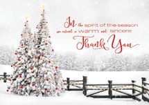 Seasonal Spirit Holiday Cards
