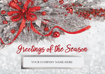 Silver Frost Holiday Cards