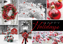 Seasonal Showcase Holiday Cards