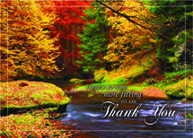 Splashes Of Color Thanksgiving Cards