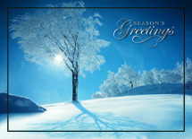 Sky Blue Holiday Cards