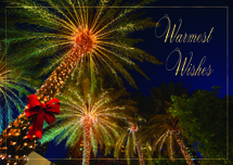 Tropical Wishes Holiday Cards