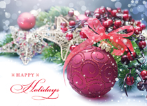 Country Charm Holiday Cards