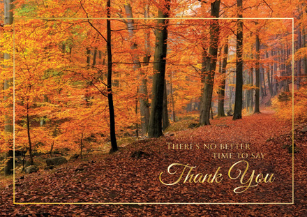 Woodland Gratitude Thanksgiving Cards